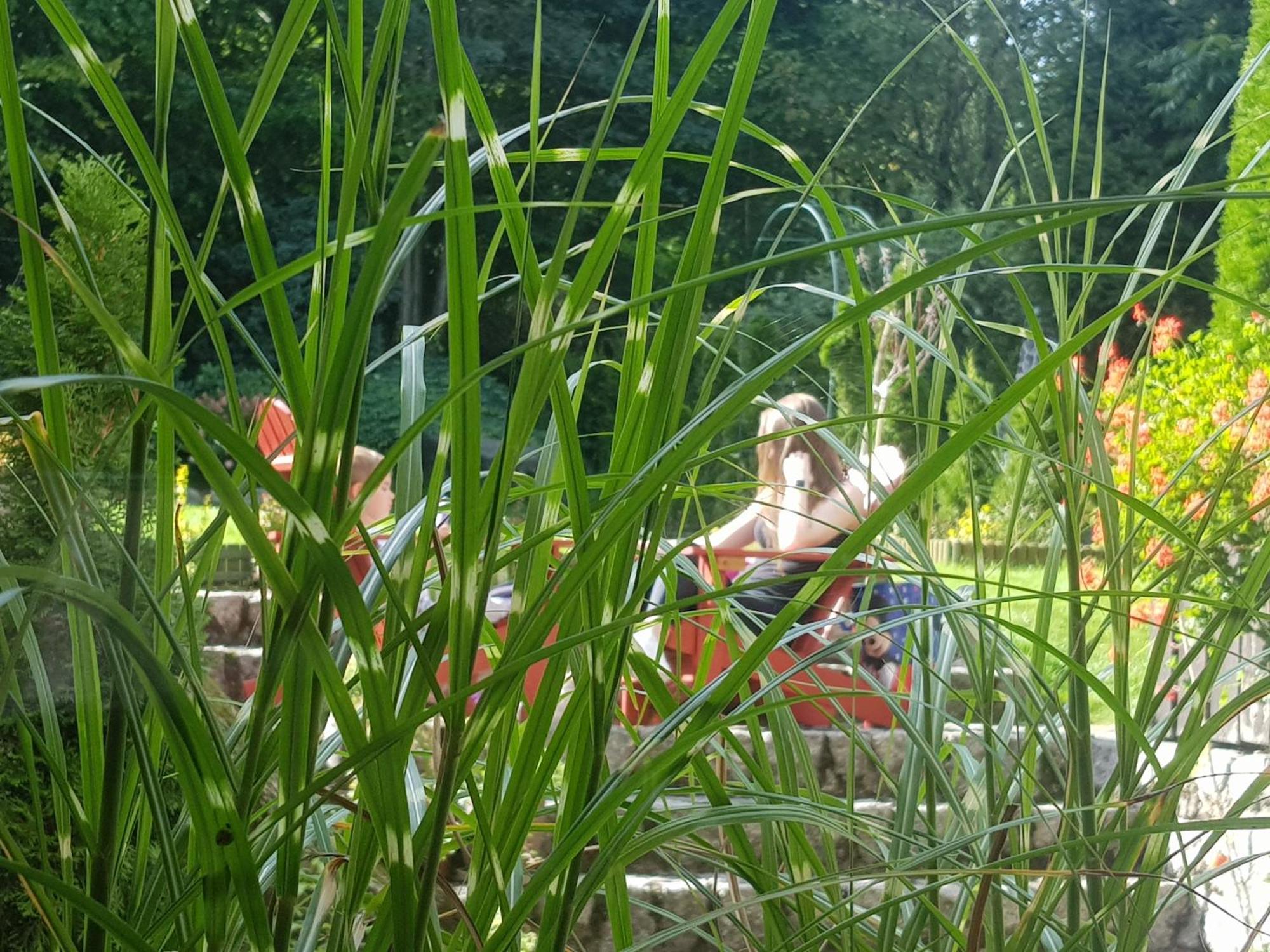 Homestay Szymonowka W Szklarskiej Porebie *