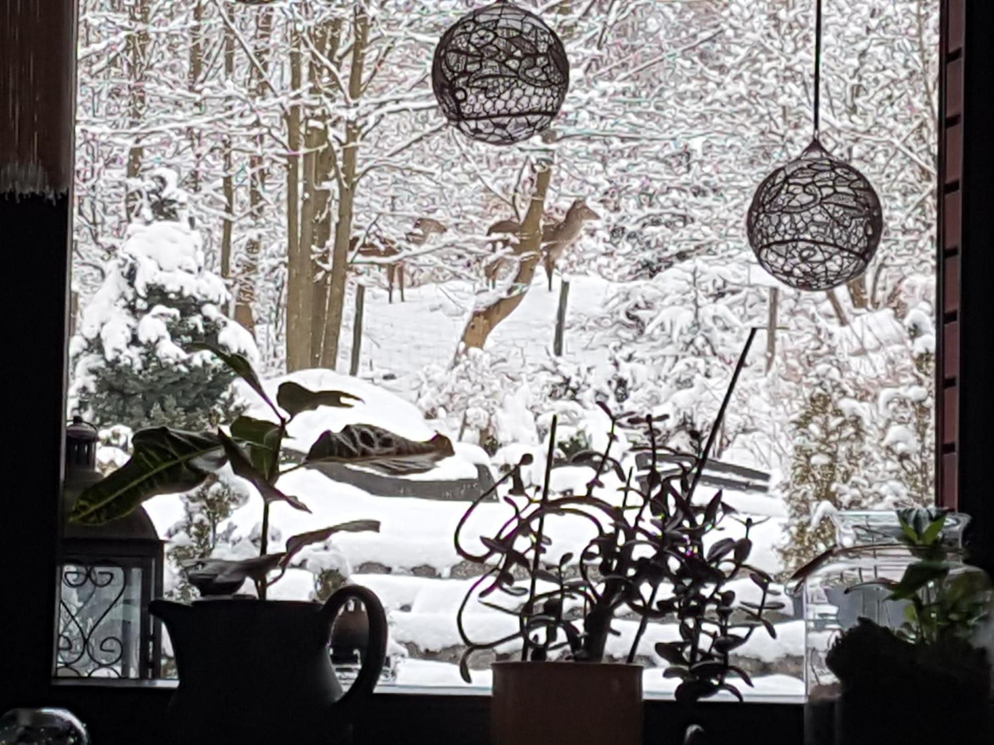 Szymonowka W Szklarskiej Porebie Homestay